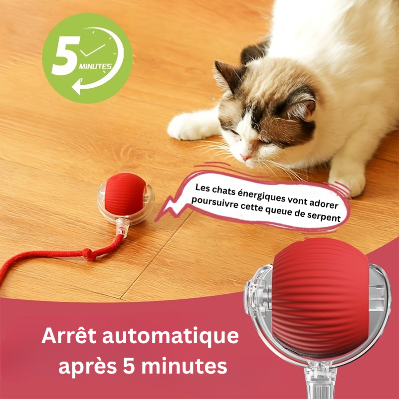 Balle Furie Sauvage™ - Jouet interactif à queue