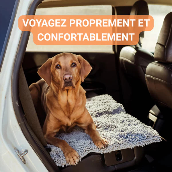 Tapis Anti Saleté pour Chiens